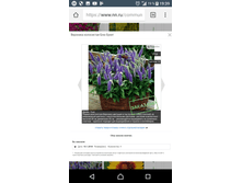 Screenshot 20180220-193928.png