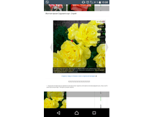 Screenshot 20180221-100836.png