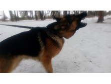 IMG 20180217 143631.jpg