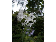 �������� *)