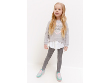 20220160154   Gemini         .jpg