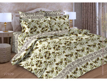 17020 �������.jpg