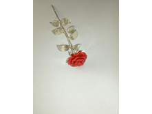 ������� ���� � ������� ��������.