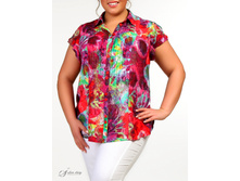 ������ 2704134-42.jpg