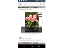 Screenshot 20180220-195314.png