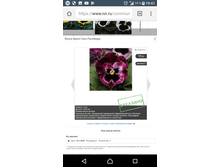Screenshot 20180220-194114.png