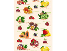 ������ ���. ������� 50 �� 5367-1