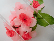 �������� NARC-10-22-14-S.png