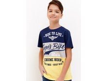 20110110094   Ozil          .jpg