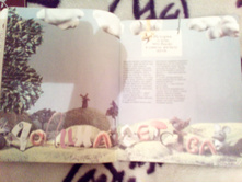 IMG 20180221 195009.jpg