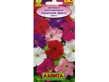 ������� �������� �����.jpg