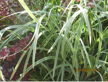 ������  ��������� - 70 ���