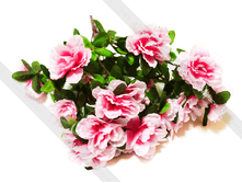 ������ AZAL-28-40-19-M.png