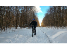 P 20180225 130256-01.jpeg