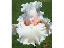 DRIFTING BUBBLES (�������� �����) ��� 05