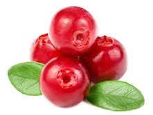 ������� ������������� ������ 50+%.jpg