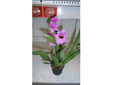 ���������..... ����� ��������� ������ ..)