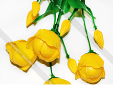 ���������� KUPALNICA-9-48-1-L.png