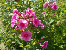 ������������ *)