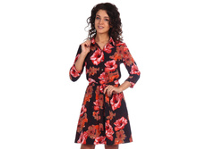 2069 ������ ����������