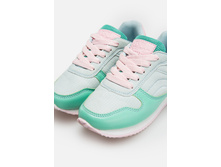 20228040058   Falcon          (      ).jpg