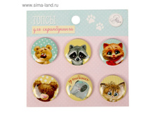 ����� ������ (�����) ��� ������������ "��������!" 38,5��� �� 4 �������