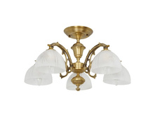 450010905 7200�.jpg