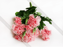 ����� ������� GVOZD-10-34-5-M.png