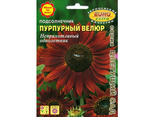 ������������ ��������� �����