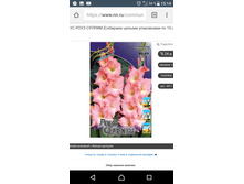 Screenshot 20180209-151431.png