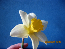 IMG 0596.JPG