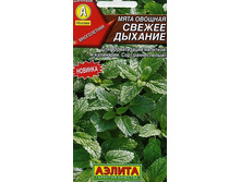 ���� ������� ������ �������