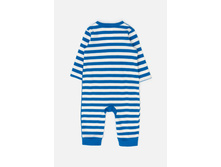 22154140047   Camparie        (   ).jpg