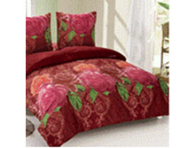 BZ Elena SINGLE M.jpg