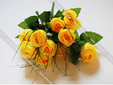 ���� ROZ-12-38-1-M.png