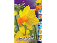 ������� ��������