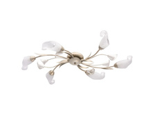 242016906 3200�.jpg