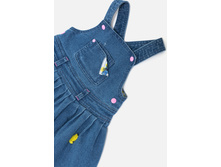 22250200017   Molly        (    ).jpg