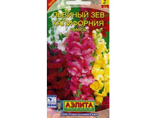 ������� ��� ����������.jpg