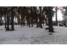 IMG 20180217 120435.jpg