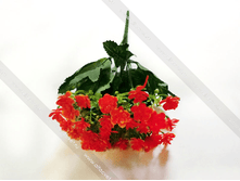 ����� ������� BUKET PLAST-30-30-11-M.png