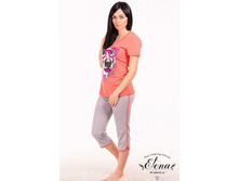 3.17133-� ��������