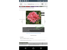 Screenshot 20180220-195209.png