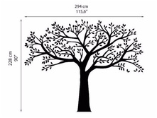 � ����.����