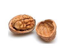 ������� ���� �����������