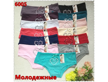 ����� ������� SIXI-6005 25 ���