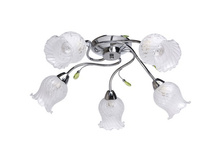 670010505 1800�.jpg