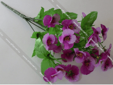 ������� ������ AnutGlaz-20-30-5-M.png