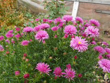 ����. ������ *)