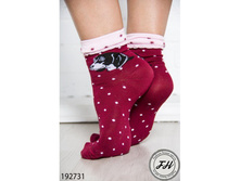 ����� 192731 ����: 49 RUB  ������� / ���: 192731